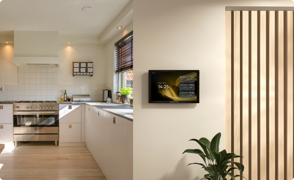 EcoFlow PowerInsight Energiemonitor