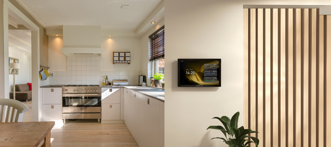 EcoFlow PowerInsight Energiemonitor